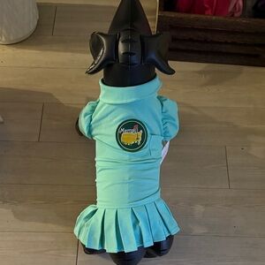 Golf Masters Teal Dog Dress